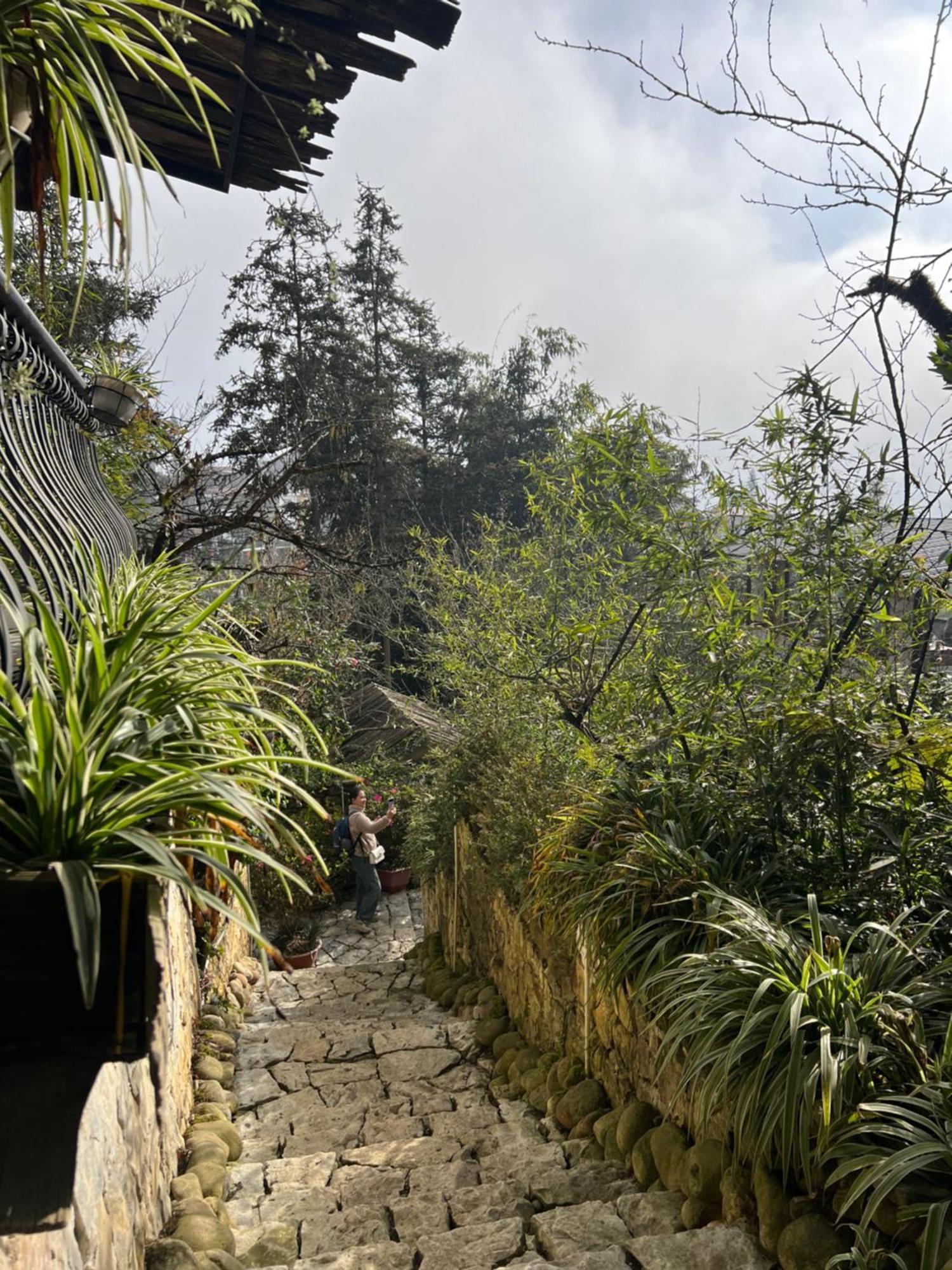 Green Villa Sapa Ngoại thất bức ảnh