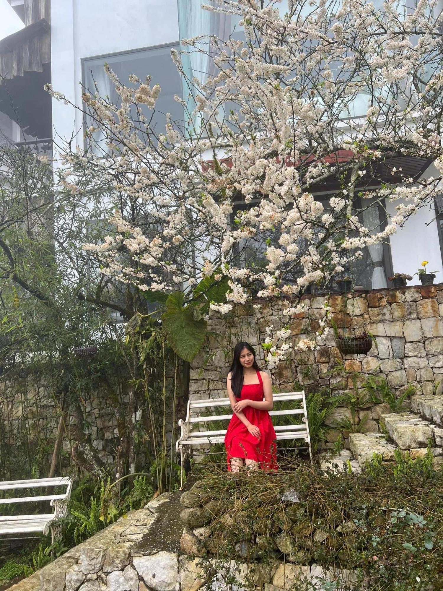 Green Villa Sapa Ngoại thất bức ảnh