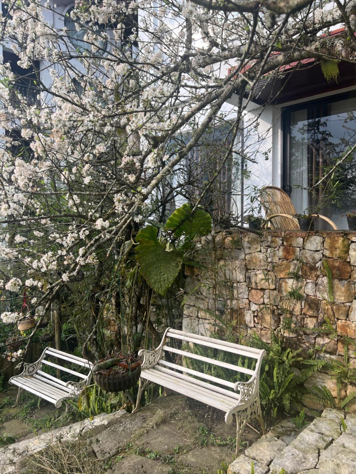 Green Villa Sapa Ngoại thất bức ảnh