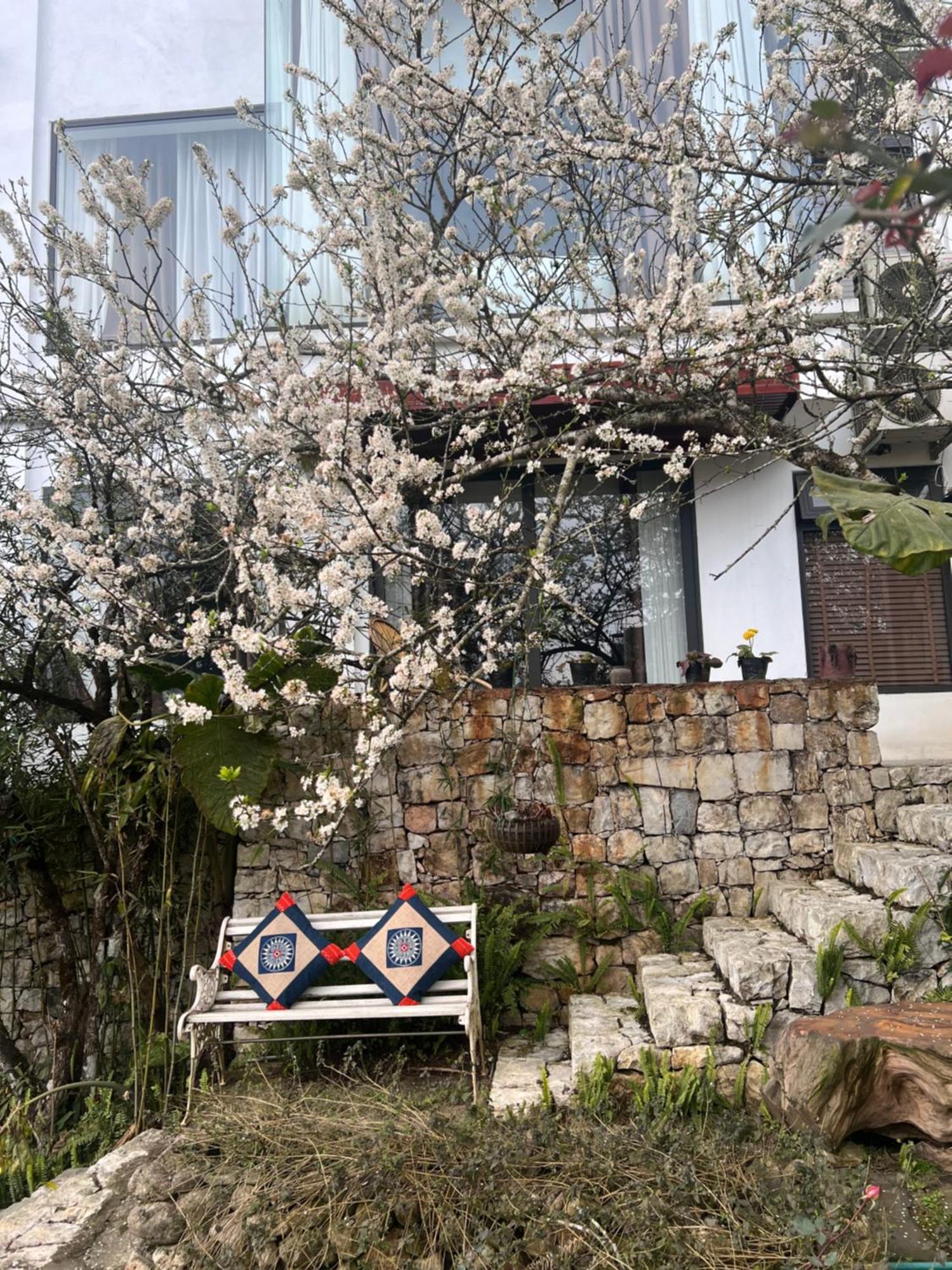 Green Villa Sapa Ngoại thất bức ảnh